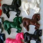 Large Horse Equestrian Crayon Set Of 28